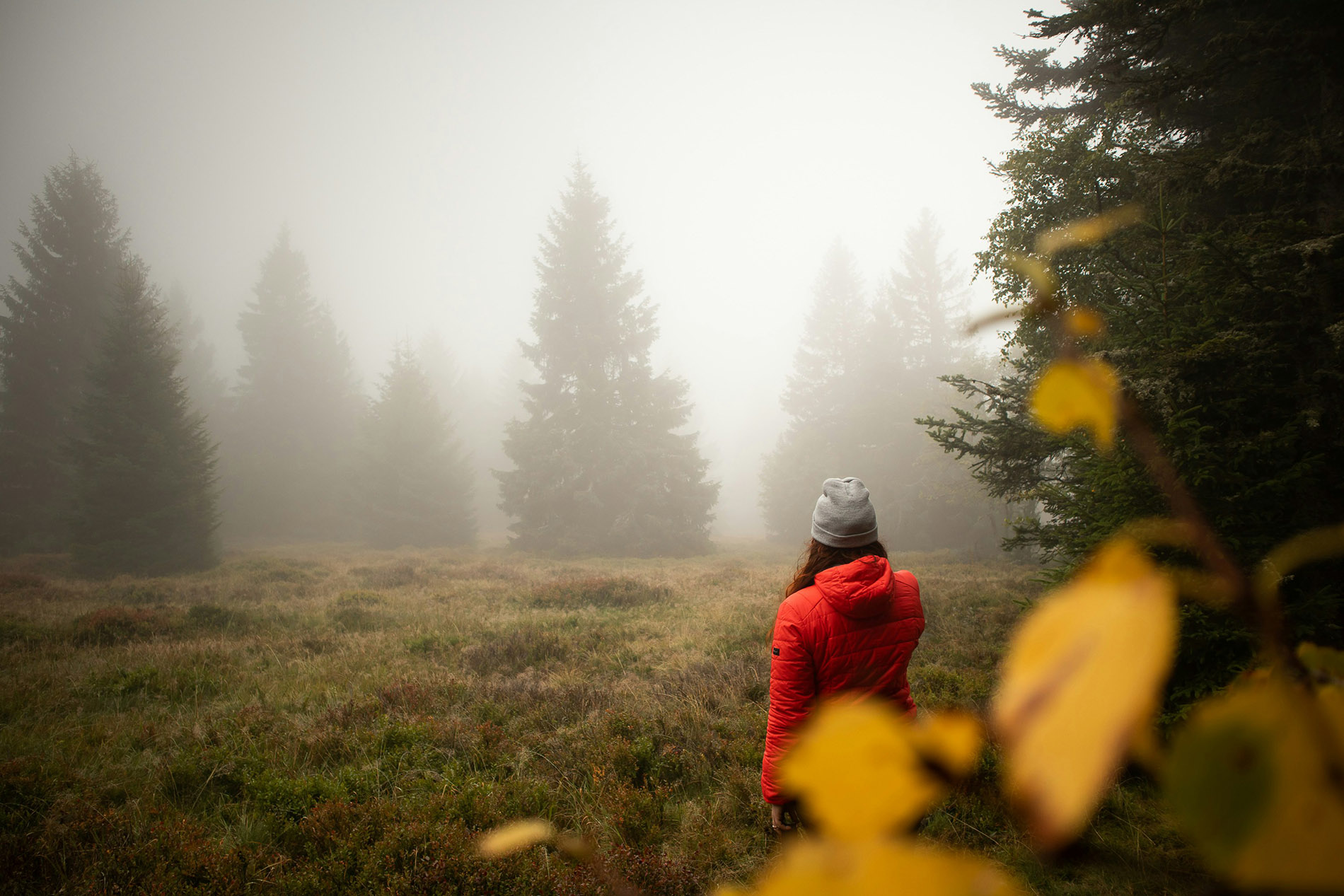 Die schönsten Wanderungen, die Sie von unseren Chalets in Gérardmer aus unternehmen können
